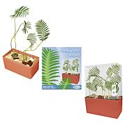 Prehistoric Plant Collection Plant Cube
